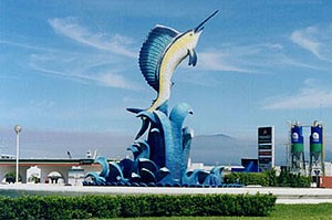 sailfish in Manzanillo
