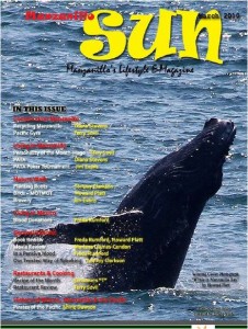Manzanillo Sun March 2010 cover