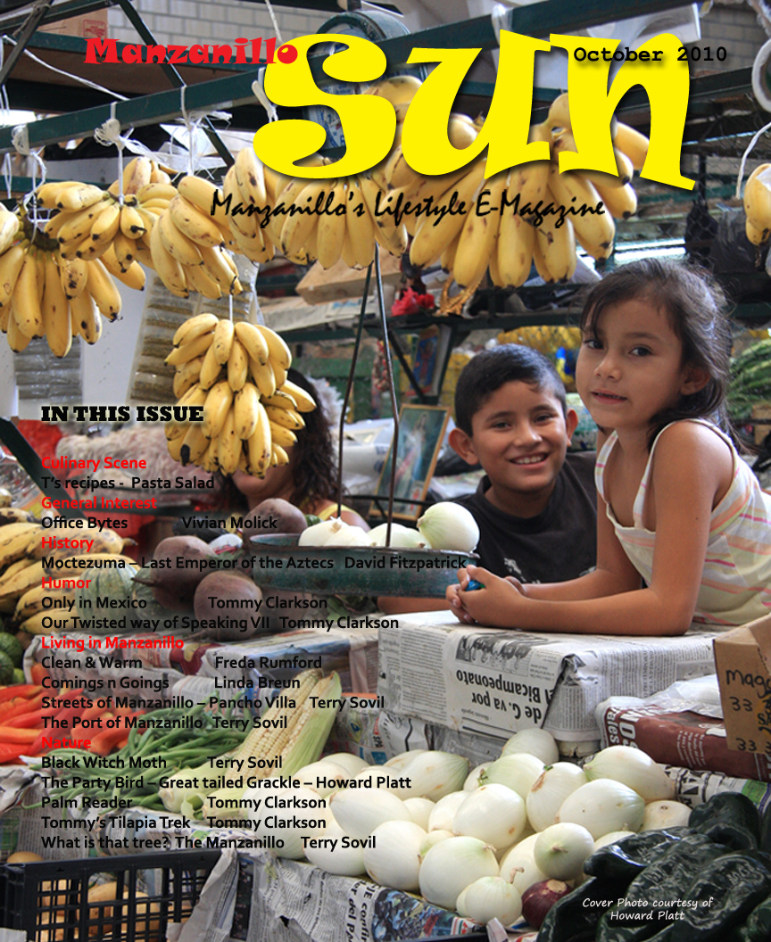 Manzanillo Sun October 2010 cover