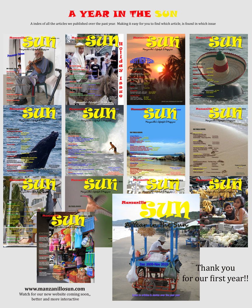 Manzanillo Sun 2010 year in review cover