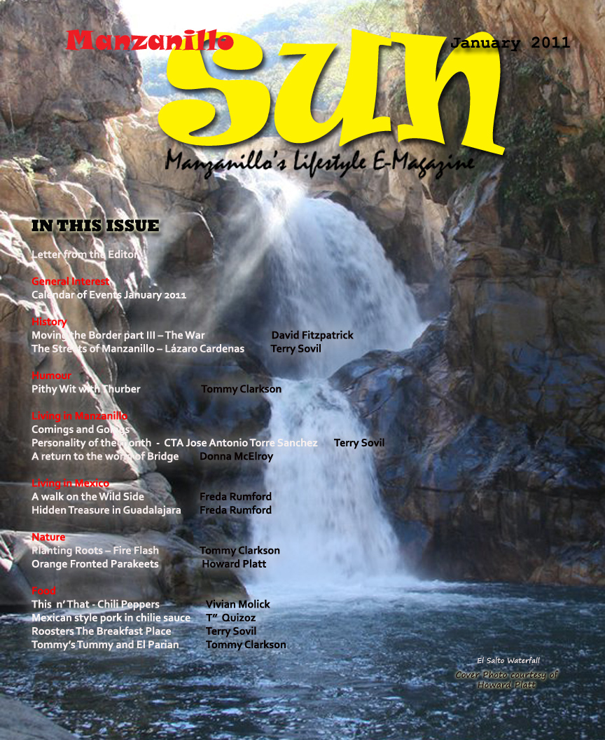 Manzanillo Sun January 2011 cover