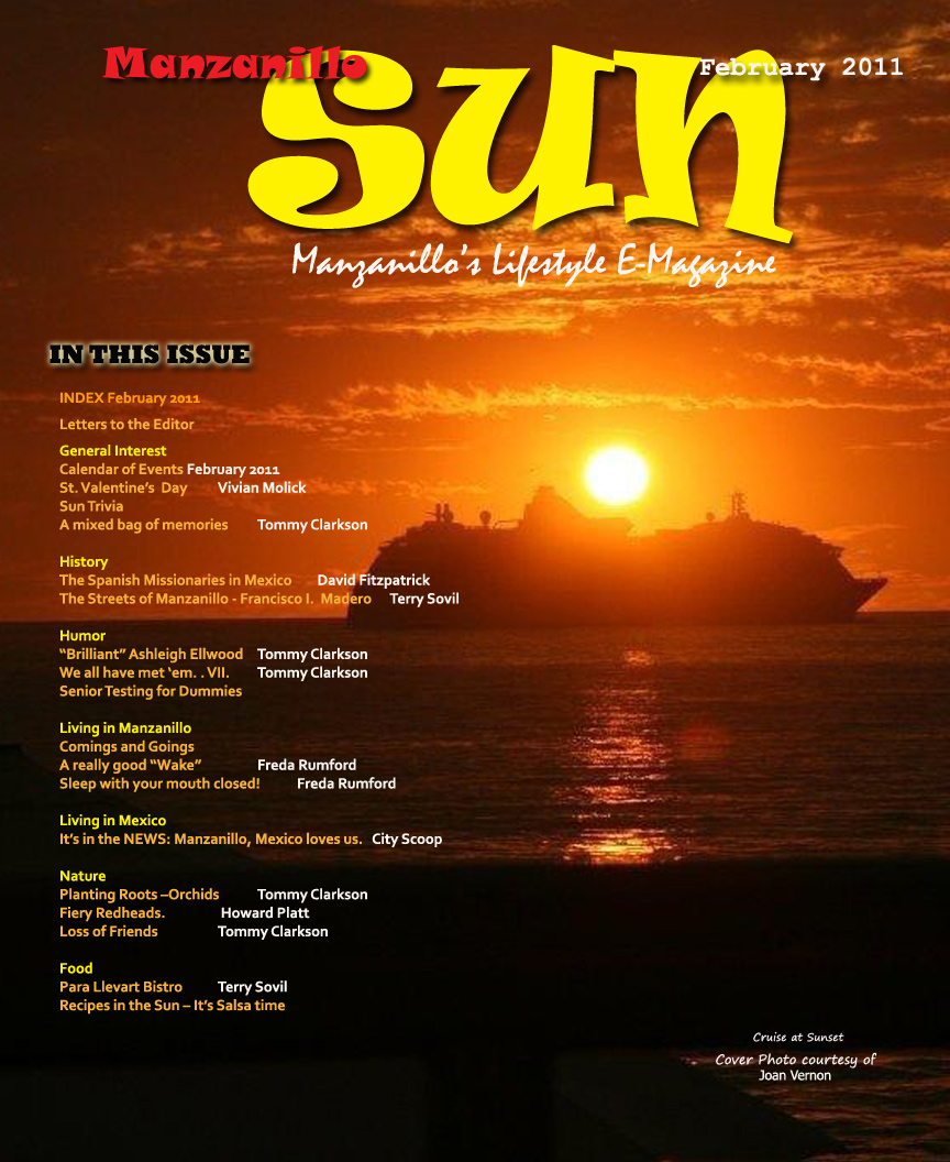 Manzanillo Sun February 2011 cover