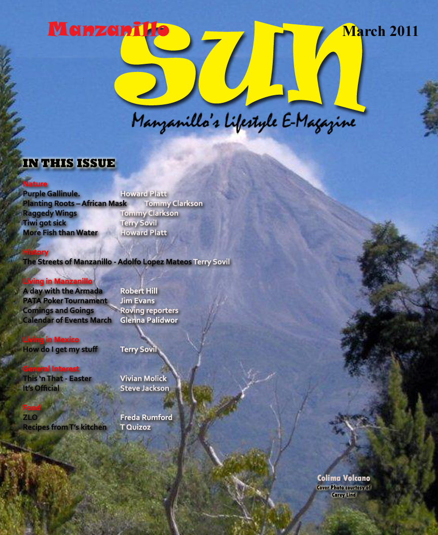Manzanillo Sun March 2011 cover