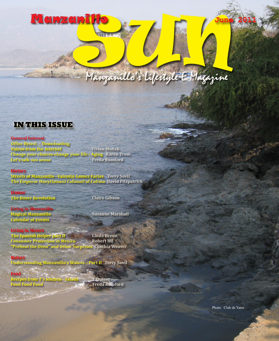 Manzanillo Sun June 2011 cover