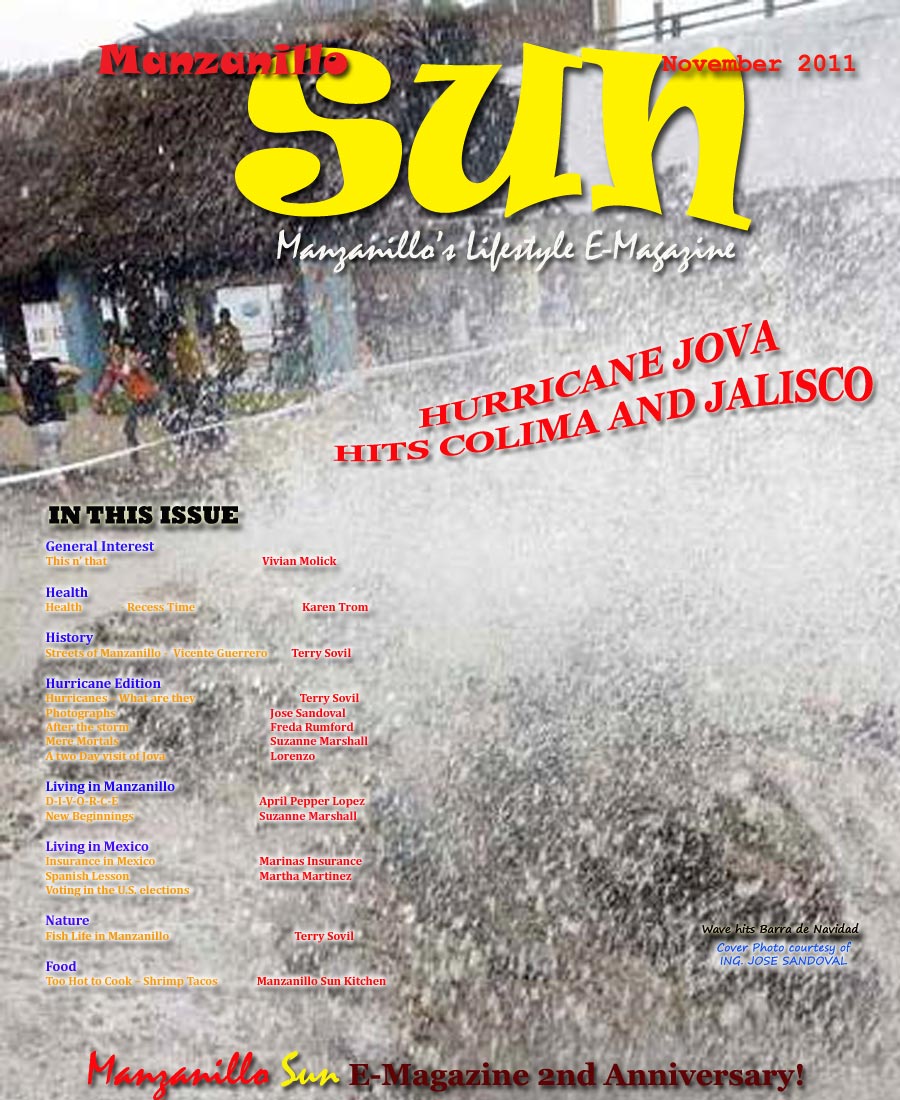 Manzanillo Sun November 2011 cover