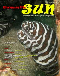 Manzanillo Sun August 2012 cover