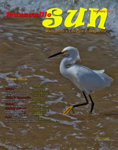 Manzanillo Sun February 2014 cover