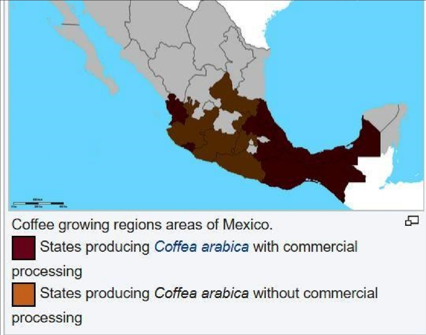 More Coffee in Mexico! Manzanillo Sun