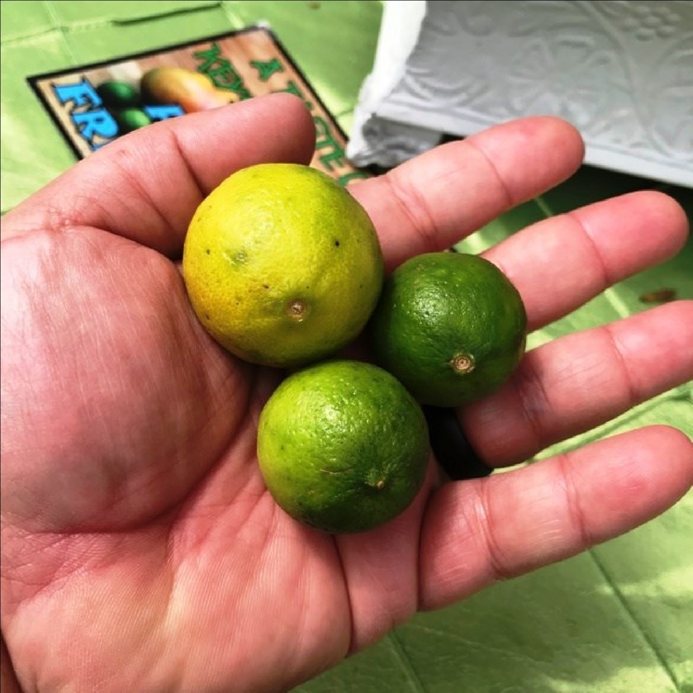 Limes in Mexico Manzanillo Sun