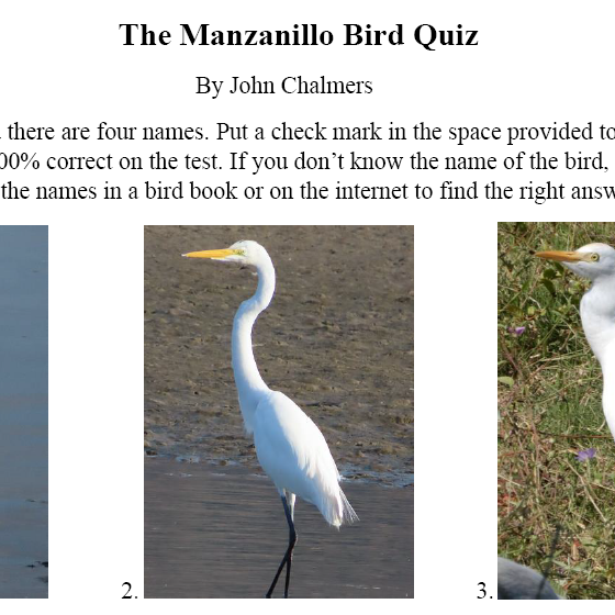 The Manzanillo Bird Quiz – by John Chalmers